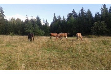 Slovākija Chata Krpačovo / Krpáčovo, Eksterjers